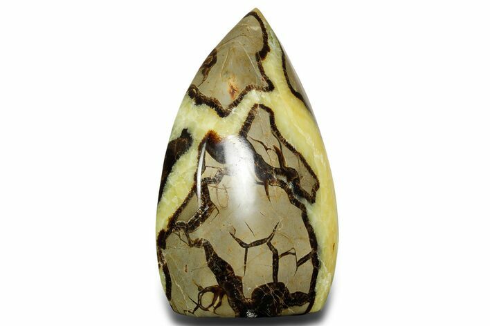 Free-Standing Polished Septarian - Madagascar #361963